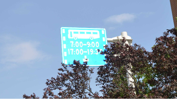 你知道公路标志牌被遮挡导致的后果有多严重吗？